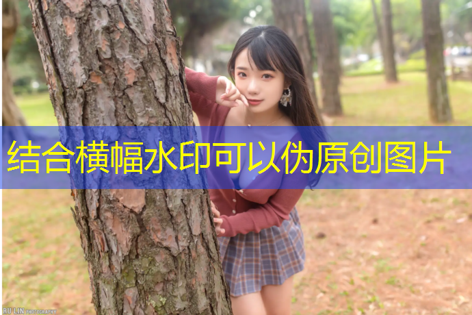 体操垫与篮球