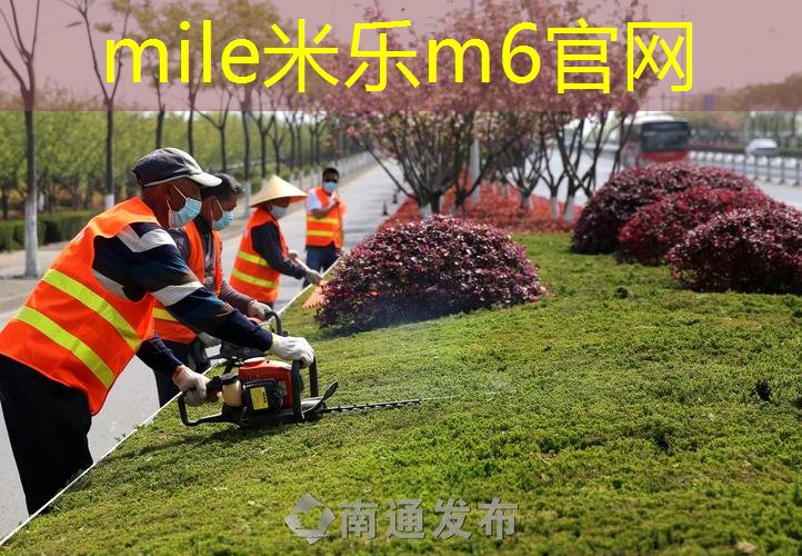 网球拍国内拍柄多长的