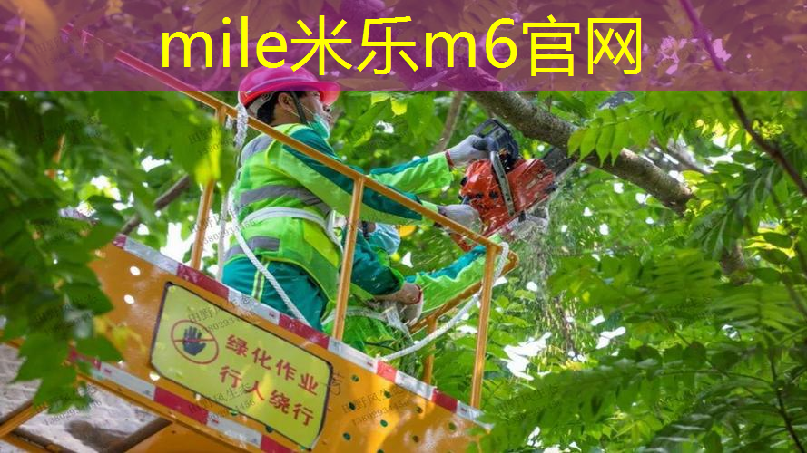 mile·米乐m6：网球拍框会挤压变形吗_