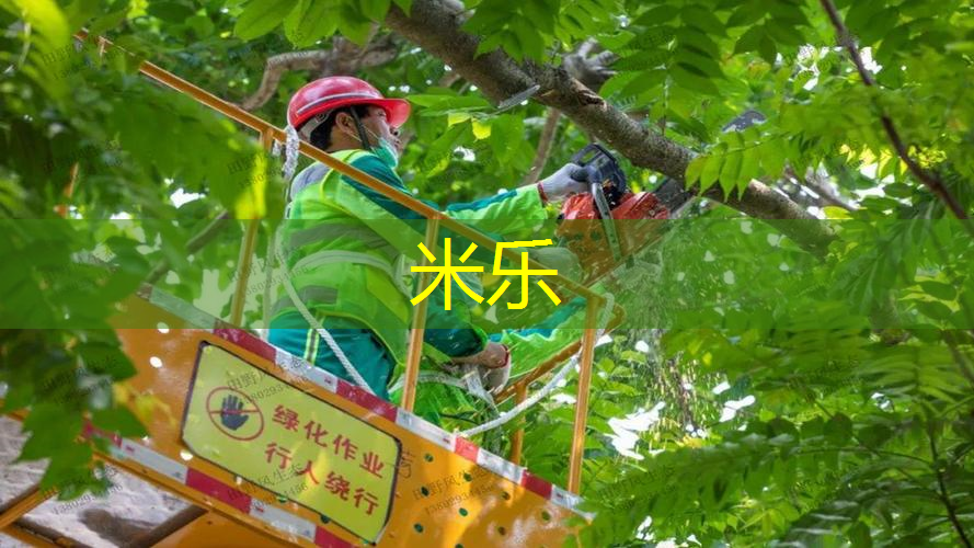 mile·米乐m6：网球拍线硬的好还是软