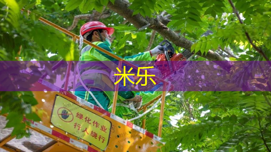 mile米乐m6官网：50块钱的网球拍套