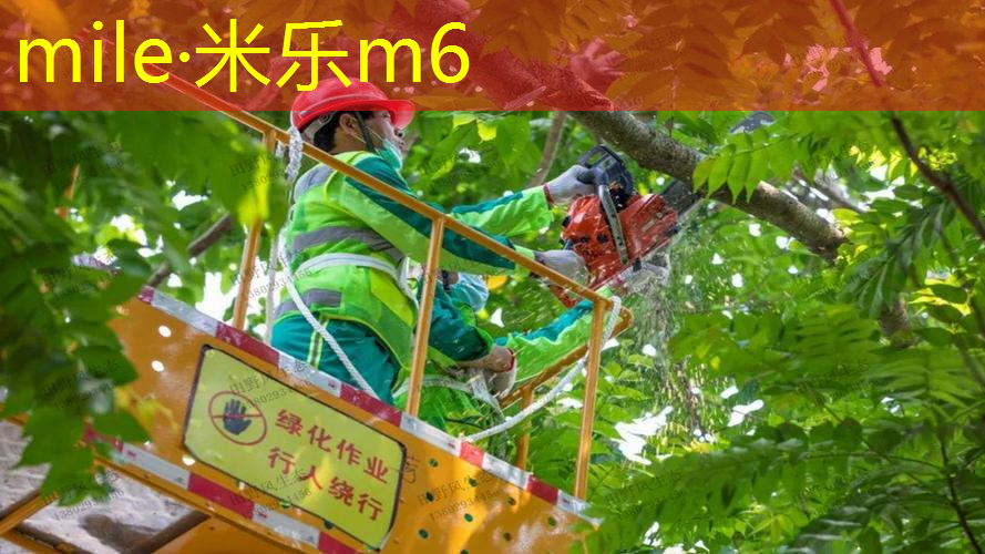 米乐：如何选网球拍手胶尺寸图
