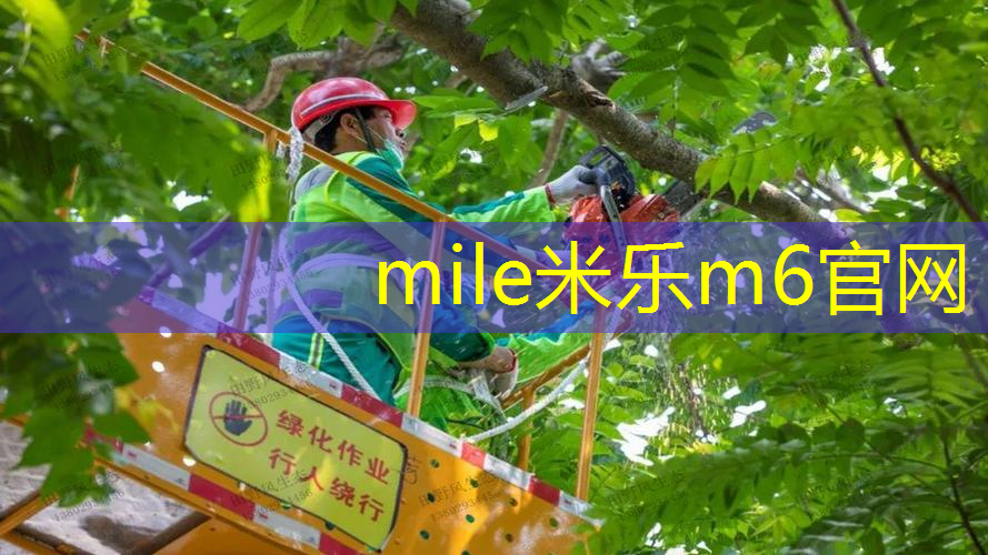 米乐m6官网：网球拍成人对拍怎么选