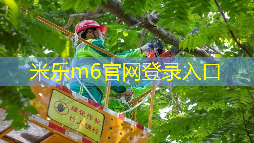 mile米乐m6官网：网球拍英文术语怎么说
