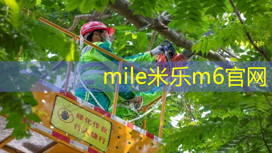 马里奥网球拍怎么装备不了