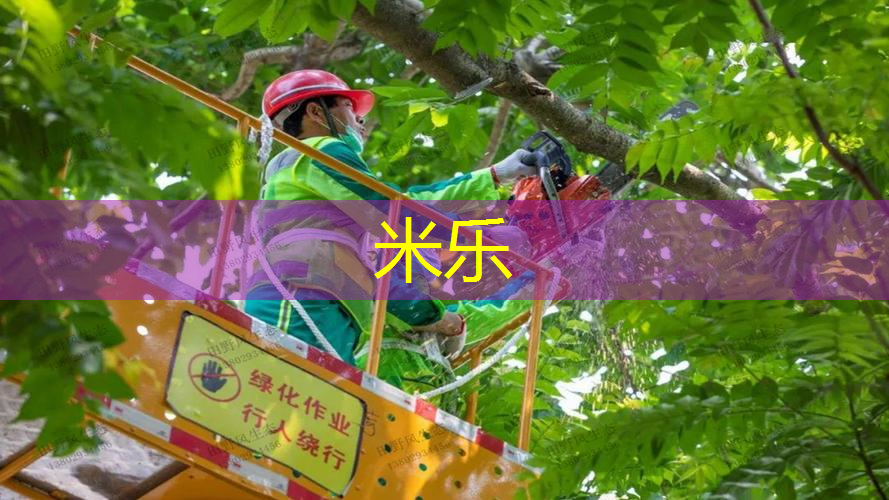米乐m6官网登录入口：网球拍的线打歪了怎么办