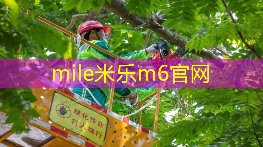 mile米乐m6官网：邓禄普95网球拍