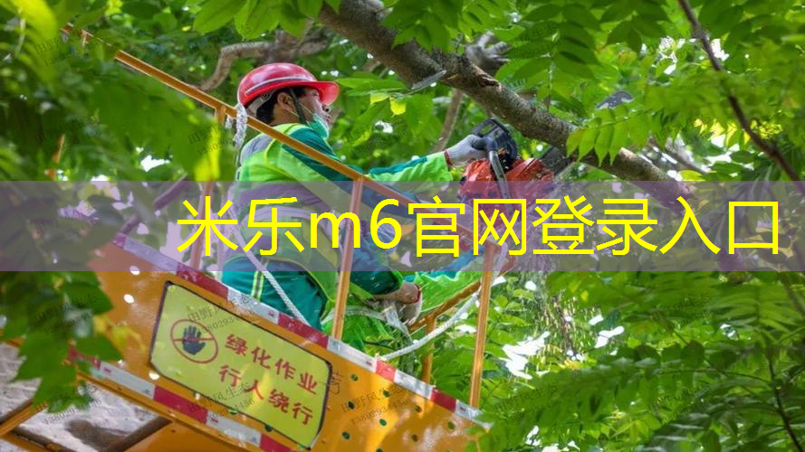 米乐m6官网登录入口：新手网球拍选多大排面的好