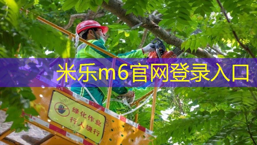 米乐：网球拍的选法怎么选好用