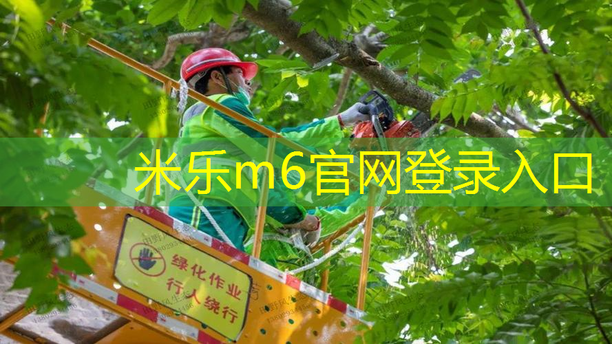 米乐m6官网登录入口：校园足球辅助器材