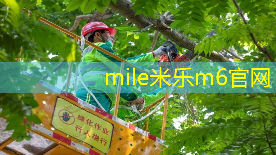 米乐m6官网登录入口：卫辉室内健身操