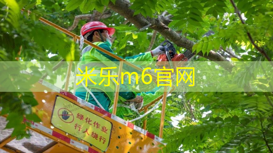 米乐：乒乓球台内最有效的技术