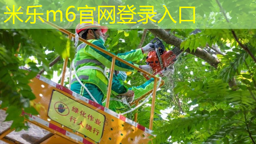米乐：卧室拍篮球器材