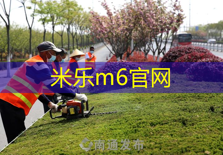 网球拍国内拍柄多长的