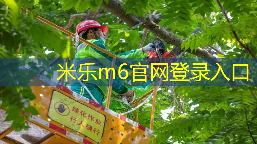 网球拍框会挤压变形吗_