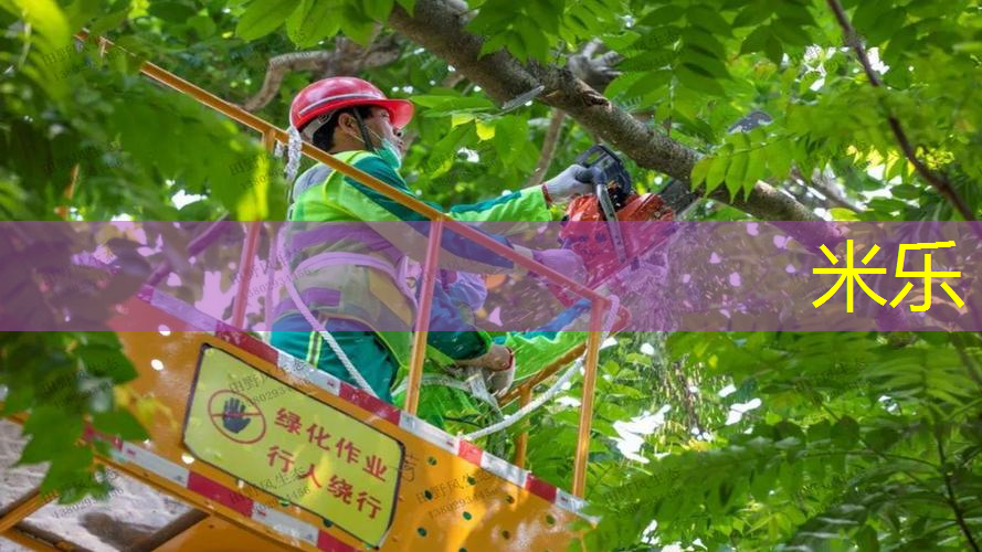 网球拍头轻重怎么选的好