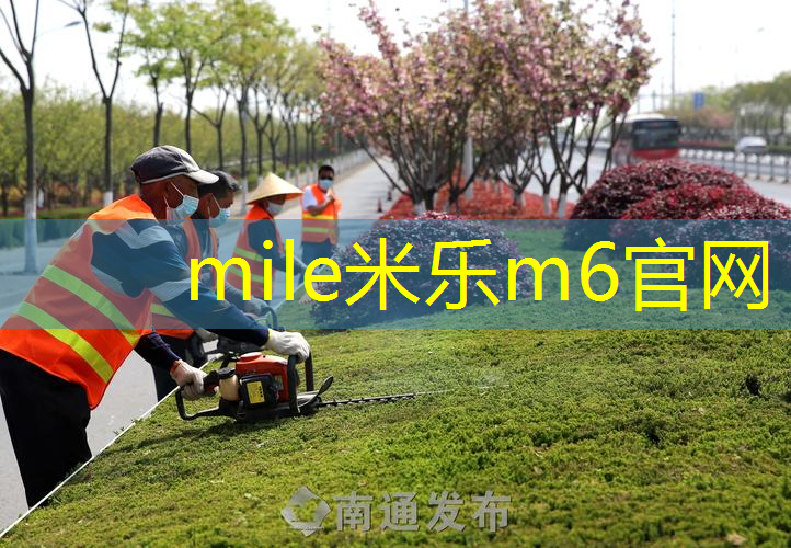 网球拍成人初学者双