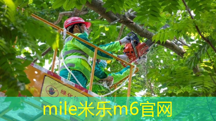 50块钱的网球拍套