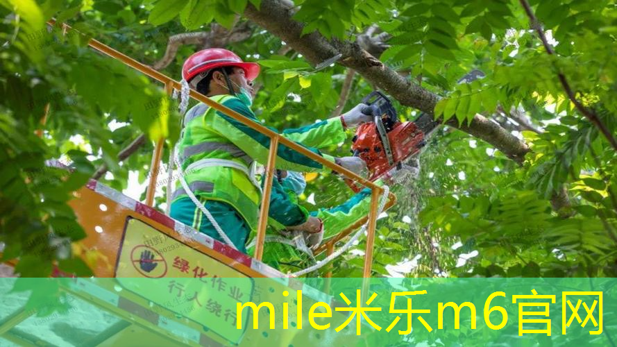 如何选网球拍手胶尺寸图
