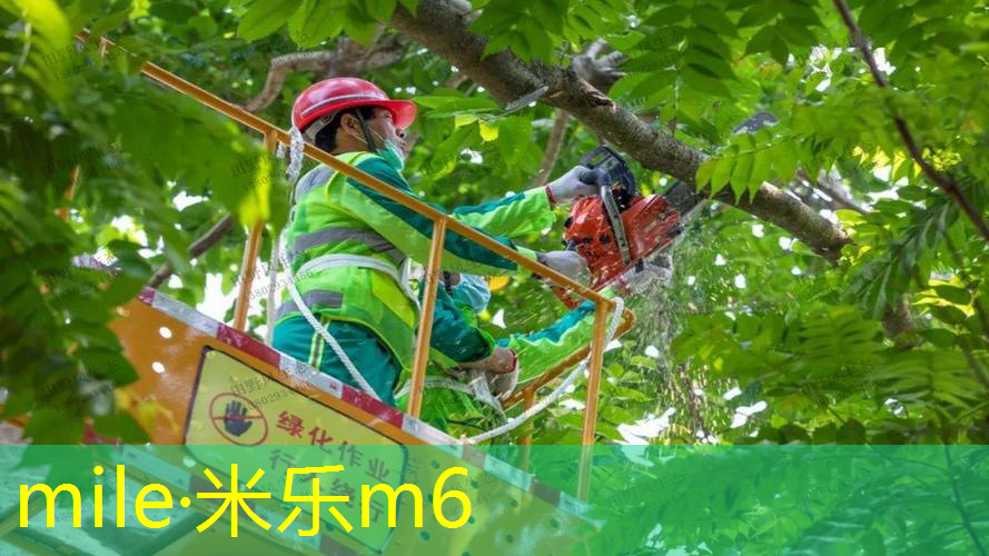网球拍成人对拍怎么选