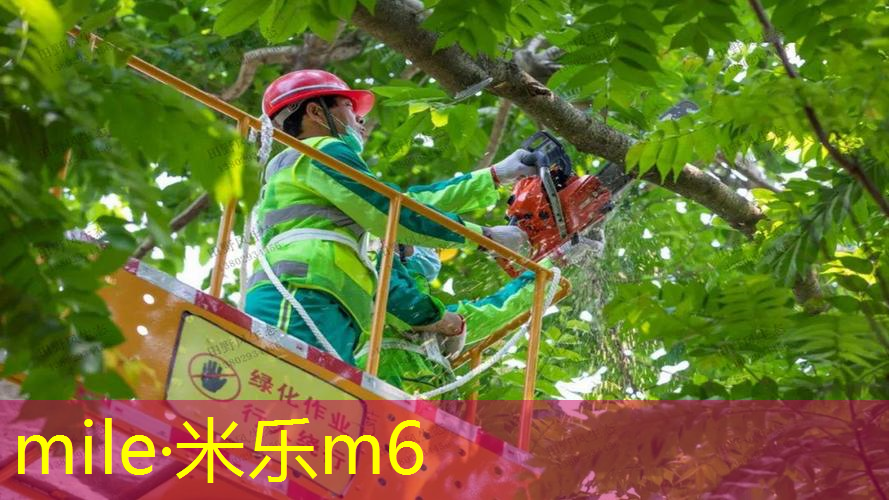 网球拍英文术语怎么说