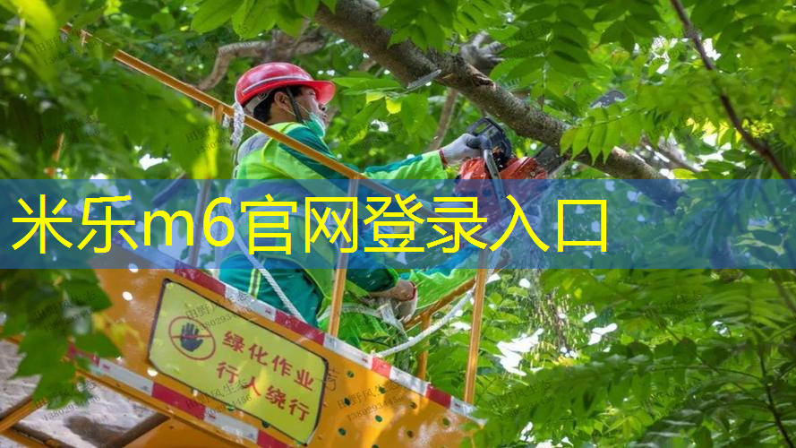 马里奥网球拍怎么装备不了