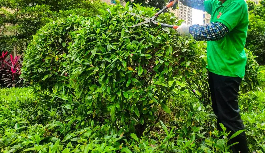 网球拍护线管孔变形了