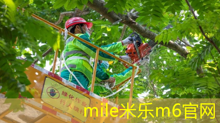 网球拍的线打歪了怎么办