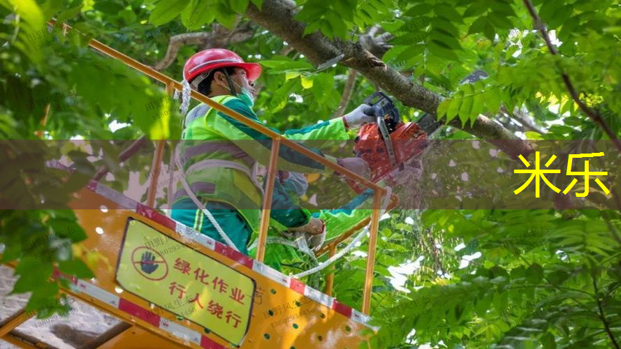 邓禄普95网球拍