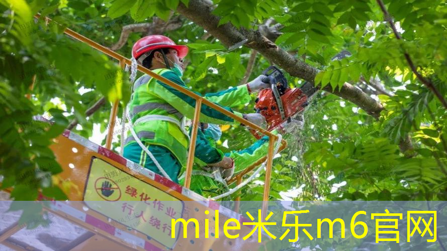 新手网球拍选多大排面的好