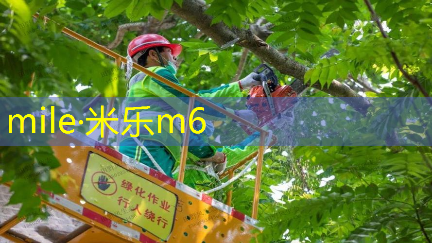 网球拍的选法怎么选好用