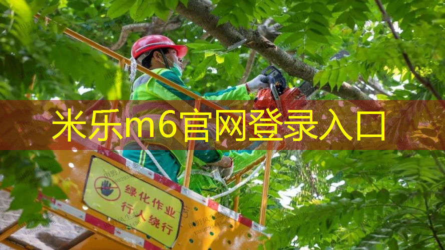 高中生怎么练网球拍手型