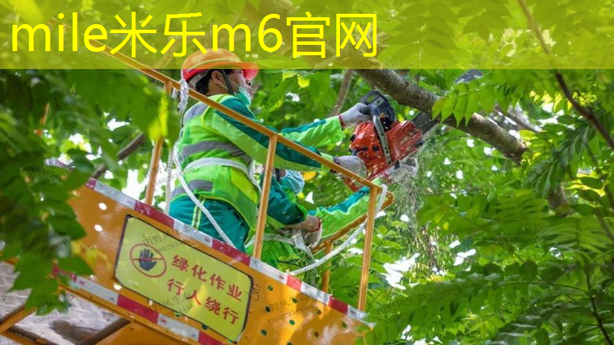校园足球辅助器材