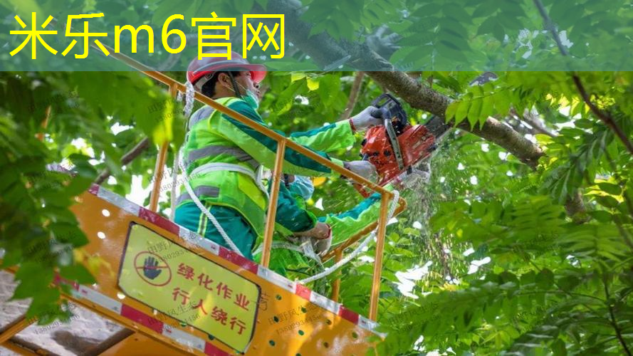 卫辉室内健身操